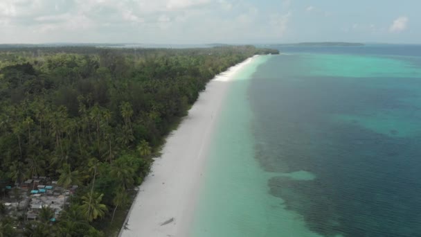 Aérien Survolant Une Plage Tropicale Récif Corallien Turquoise Forêt Verte — Video