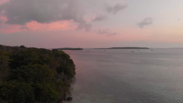 Luchtfoto Ongerepte Kustlijn Tropisch Strand Caribische Zee Bij Pasir Panjang — Stockvideo