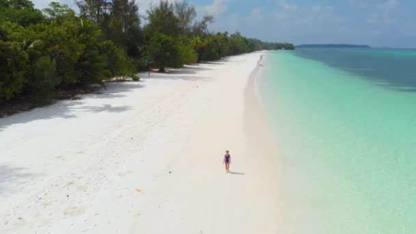 Aerial Nieskażone Wybrzeża Tropikalnej Plaży Morza Karaibskiego Pasir Panjang Kei — Wideo stockowe