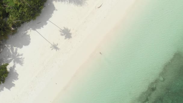 Aérea Mujer Caminando Playa Arena Blanca Agua Turquesa Costa Tropical — Vídeo de stock