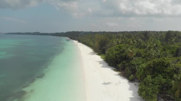 Aéreo Mulher Caminhando Praia Areia Branca Costa Tropical Água Azul — Vídeo de Stock