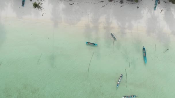 Udara Atas Bawah Pantai Tropis Karibia Laut Pirus Air Dengan — Stok Video