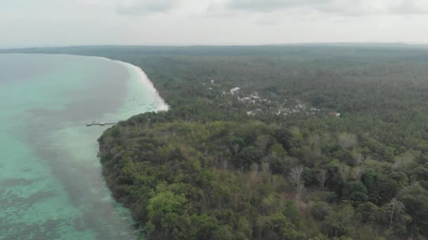Aérien Littoral Non Contaminé Plage Tropicale Mer Des Caraïbes Pasir — Video