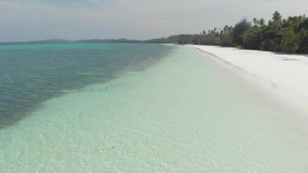 白い砂浜ターコイズ水熱帯海岸線パシルパンジャンケイ諸島インドネシアモルッカスインドネシアの風光明媚な旅行先を歩く女性 ネイティブシネのようなD Logカラープロファイル — ストック動画