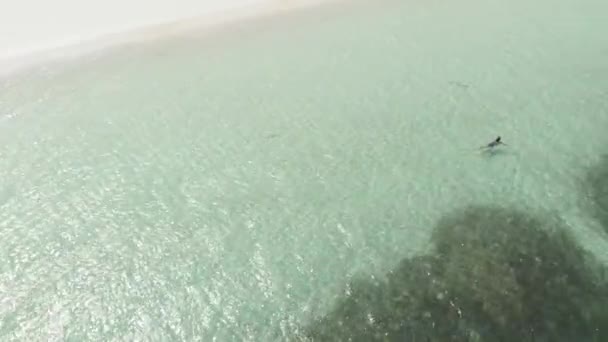 Aérien Femme Marchant Sur Plage Sable Blanc Côte Tropicale Turquoise — Video