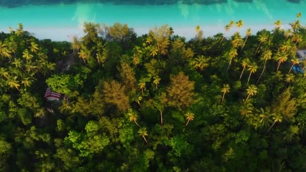 Aérien Littoral Non Contaminé Plage Tropicale Caraïbes Récif Corallien Palmier — Video