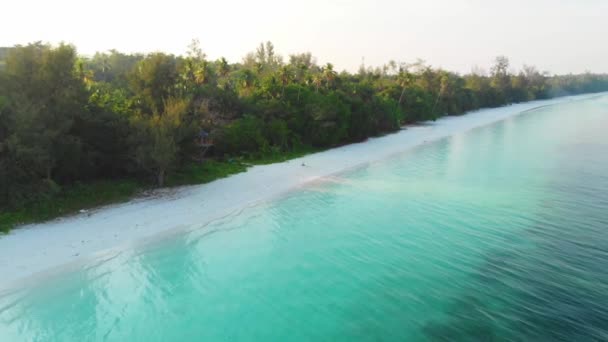 Luchtfoto Ongerepte Kustlijn Tropisch Strand Caribische Zee Koraalrif Palmboom Bos — Stockvideo