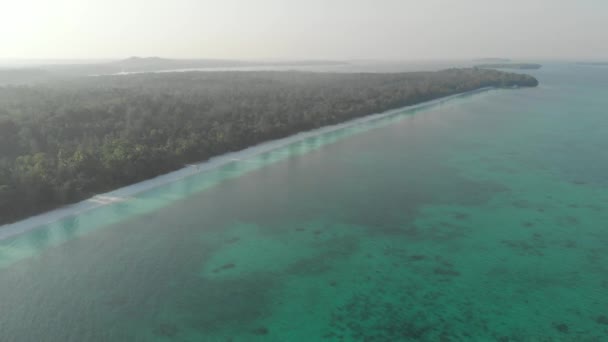 Aéreo Costa Não Contaminada Praia Tropical Caribe Recife Coral Marinho — Vídeo de Stock