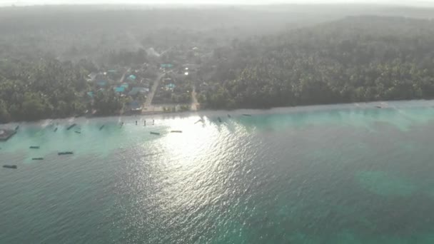 Aérien Littoral Non Contaminé Plage Tropicale Caraïbes Récif Corallien Mer — Video