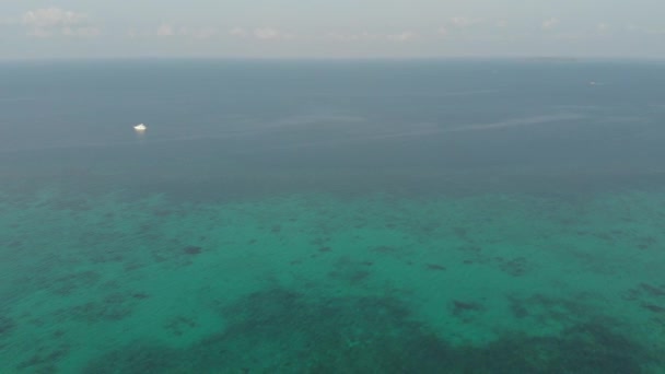 Воздушный Незагрязненная Береговая Линия Тропического Пляжа Карибского Морского Кораллового Рифа — стоковое видео
