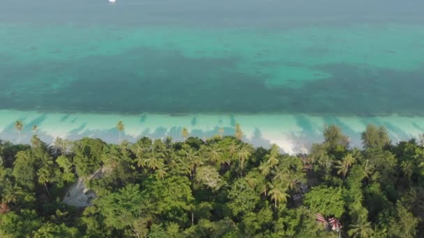 日没風の旅行先でケイ諸島マルクインドネシアの汚染されていない海岸線熱帯ビーチカリブ海サンゴ礁 ネイティブシネのようなD Logカラープロファイル — ストック動画