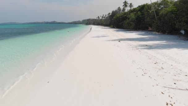 白い砂浜のターコイズブルーの水熱帯海岸線パシルパンジャンケイ諸島インドネシアモルッカスインドネシア旅行先でリラックスする女性 ネイティブシネのようなD Logカラープロファイル — ストック動画