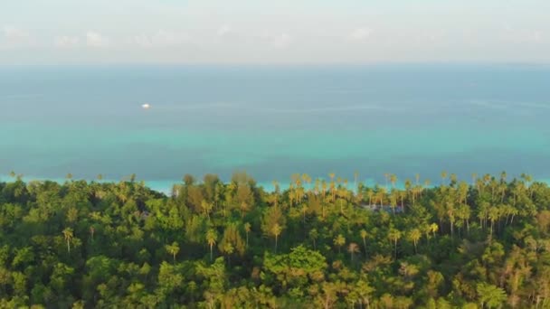 Antenne Unberührte Küste Tropischer Strand Karibik Korallenriff Palmenwald Auf Den — Stockvideo