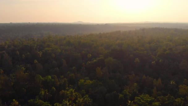 Aéreo Sobrevoando Floresta Tropical Intocada Pôr Sol Floresta Palmeiras Sunburst — Vídeo de Stock