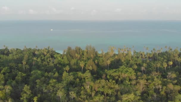 Aéreo Costa Não Contaminada Praia Tropical Caribe Recife Coral Marinho — Vídeo de Stock