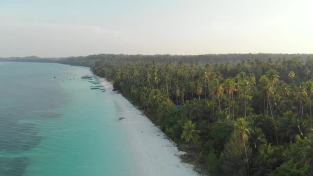 Antenne Uforurenet Kystlinje Tropiske Strand Caribbean Hav Koralrev Kei Øerne – Stock-video