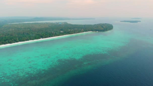 航空写真 日没風の旅行先でケイ諸島マルクインドネシアの汚染されていない海岸線熱帯ビーチカリブ海サンゴ礁ヤシの木の森林 — ストック動画