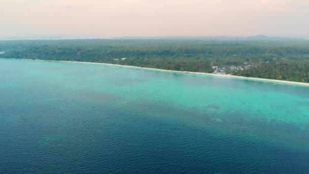 Antenn Oförorenad Kustlinje Tropisk Strand Karibiska Havet Korallrev Palmträd Skogsmark — Stockvideo