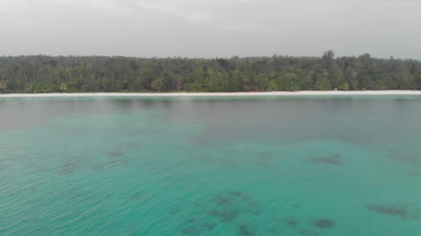 Antenn Oförorenad Kustlinje Tropisk Strand Karibiska Havet Korallrev Kei Islands — Stockvideo