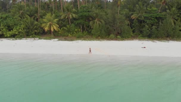 Aérea Costa Contaminada Playa Tropical Arrecife Coral Marino Caribeño Las — Vídeo de stock