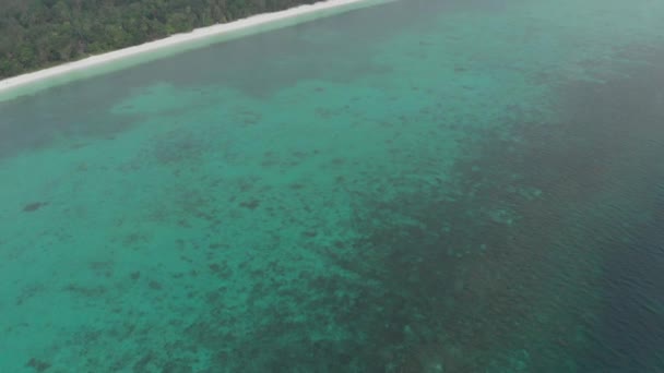 日没風の旅行先でケイ諸島マルクインドネシアの汚染されていない海岸線熱帯ビーチカリブ海サンゴ礁 ネイティブシネのようなD Logカラープロファイル — ストック動画