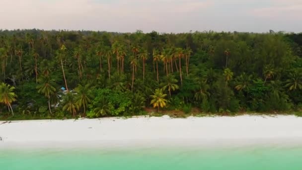 Antenn Oförorenad Kustlinje Tropisk Strand Karibiska Havet Korallrev Atoll Kei — Stockvideo