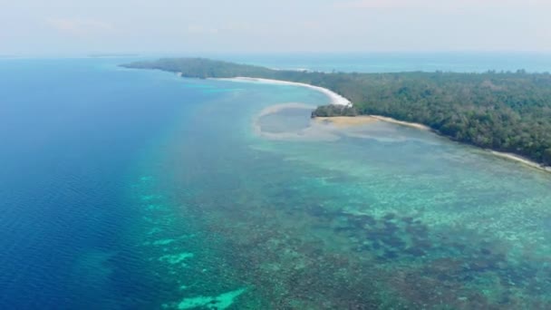 航空写真 ケイ諸島マルクインドネシアの風光明媚な旅行先自然生態系海洋生物の汚染されていない海岸線熱帯ビーチカリブ海サンゴ礁環礁環礁 — ストック動画