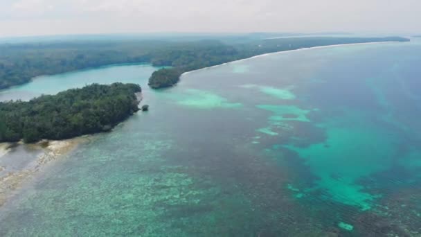 Aérea Costa Contaminada Playa Tropical Caribe Mar Arrecife Coral Atolón — Vídeo de stock