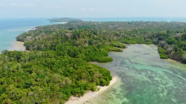 Luchtfoto Ongerepte Kustlijn Tropisch Strand Caribische Zee Koraal Rif Atol — Stockvideo