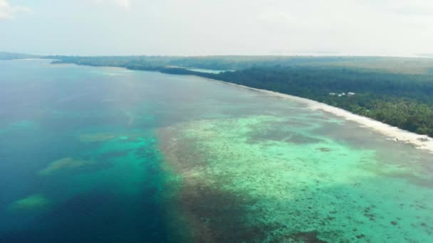 Воздушный Беспилотник Незагрязненная Береговая Линия Тропического Пляжа Карибского Моря Коралловые — стоковое видео