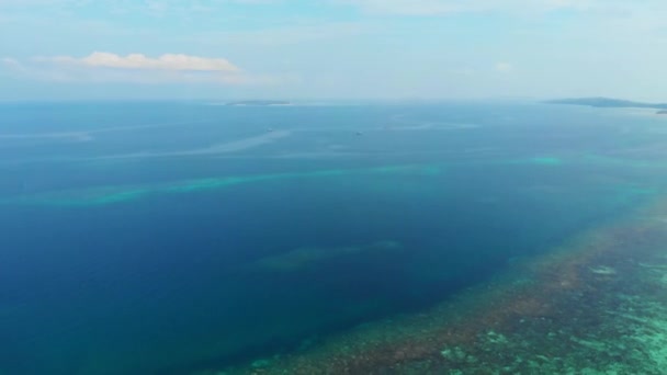 空中无人机 未受污染的海岸线热带海滩加勒比海珊瑚礁棕榈树林地在基岛马鲁库印度尼西亚日落风景旅游目的地 — 图库视频影像