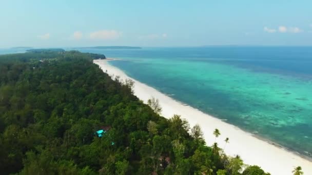 空中ドローン 日没風の旅行先でケイ諸島マルクインドネシアの汚染されていない海岸線熱帯ビーチカリブ海サンゴ礁ヤシの木の森林 — ストック動画