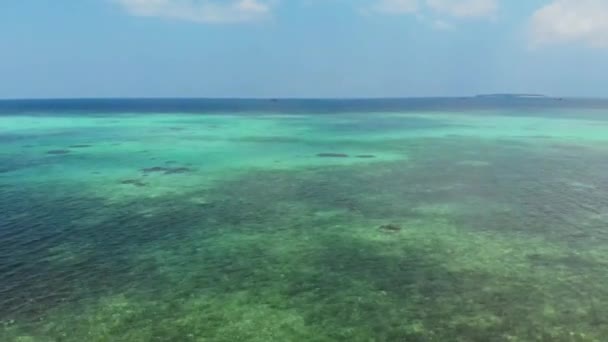 Aérien Drone Survolant Les Récifs Coralliens Mer Des Caraïbes Vie — Video