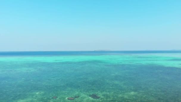 Aérea Dron Volando Sobre Arrecife Coral Marino Caribeño Vida Marina — Vídeo de stock