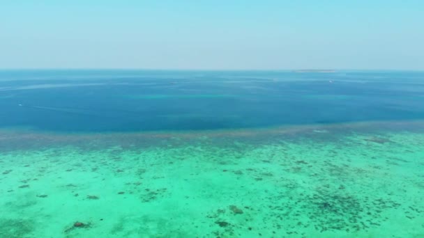 航空写真 カリブ海のサンゴ礁の上を飛行するドローンは ケイ諸島マルク モルッカス インドネシアの風光明媚な旅行先で海洋生物を汚染されていない生態系の海洋生物 — ストック動画