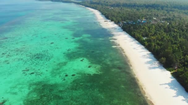 空中无人机 未受污染的海岸线热带海滩加勒比海珊瑚礁棕榈树林地在基岛马鲁库印度尼西亚日落风景旅游目的地 — 图库视频影像