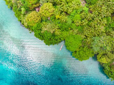 Hava yukarıdan aşağıya görünümü tropik cennet bozulmamış beach rainforest mavi lagün Banda Island, Pulau Ay. Endonezya Moluccas adalar, en sevilen seyahat hedef, en iyi dalış dalış.