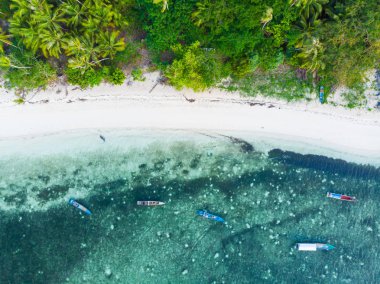 Hava yukarıdan aşağıya görünümü tropik cennet bozulmamış beach rainforest mavi lagün Banda Island, Pulau Ay. Endonezya Moluccas adalar, en sevilen seyahat hedef, en iyi dalış dalış.