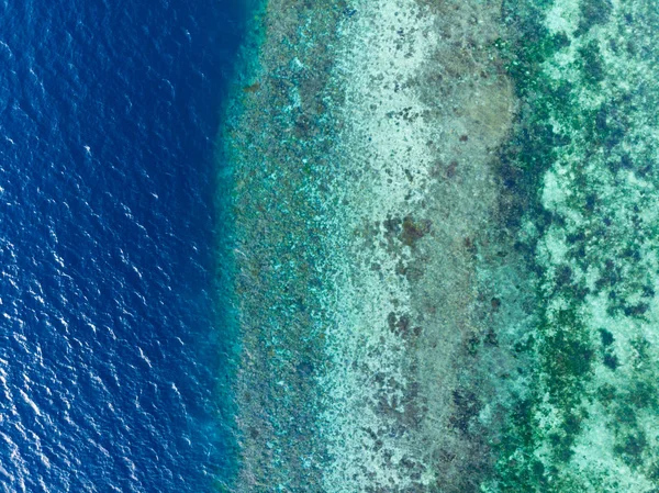 Aerial top down coral reef tropical caribbean sea, turquoise blue water. Indonesia Wakatobi archipelago, marine national park, tourist diving boat travel destination — Stock Photo, Image