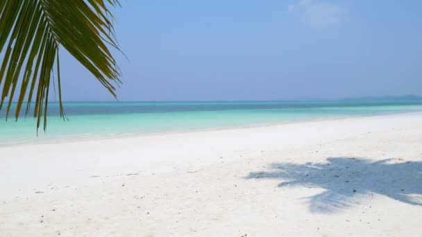 カリブ海のターコイズブルーウォーター白い砂浜日当たりの良い熱帯海岸線の牧歌的なパシルパンジャンケイ諸島インドネシアモルッカスマルクインドネシアで誰も振る — ストック動画
