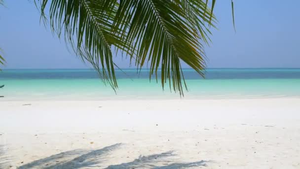 Ondeggiante Mare Caraibi Acqua Turchese Spiaggia Sabbia Bianca Soleggiata Costa — Video Stock