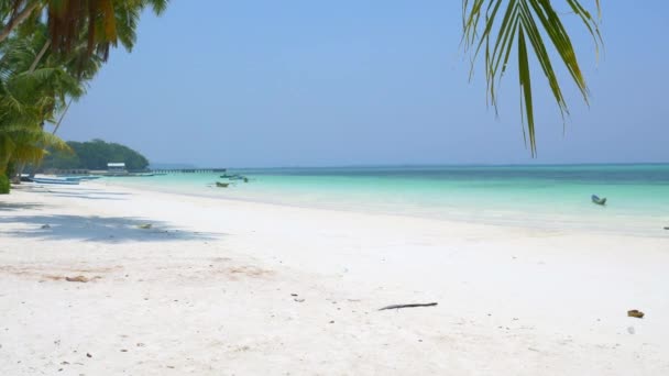 Winkende Karibik Türkisfarbenes Wasser Weißer Sandstrand Sonnige Tropische Küste Idyllisch — Stockvideo