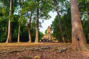 Angkor Thom arkeolojik kompleksi içinde sabah ışığı ile ormanda küçük tapınak harabe, seyahat hedef Kamboçya.