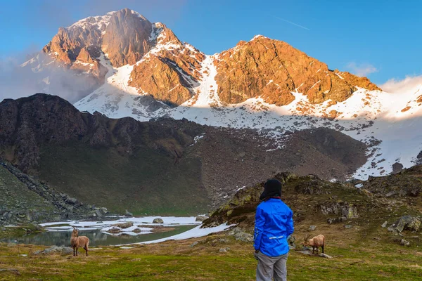 Žena, sledovat východ slunce nad Alpy v provincii Valle d'Aosta, Itálie — Stock fotografie