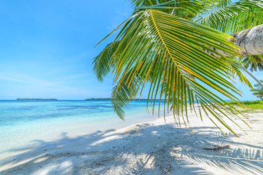 Hindistan cevizi palmiyeli beyaz kumsal turkuvaz mavi su mercan resifi, tropikal seyahat noktası, çöl plajı - Banyak Adaları, Sumatra, Endonezya