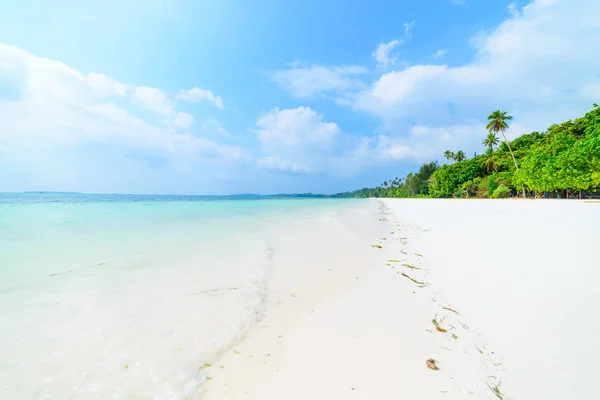 Weißer Sandstrand mit Kokospalmen türkisfarbenes, transparentes Wasser, tropisches Reiseziel, Wüstenstrand ohne Menschen - kei-Inseln, Molukken, Indonesien — Stockfoto