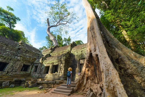Um turista visitando Angkor ruínas em meio a selva, Angkor Wat templo complexo, destino de viagem Camboja. Mulher com chapéu tradicional, vista traseira . Fotos De Bancos De Imagens