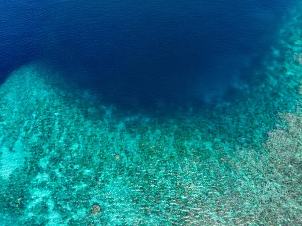 Arriba arriba abajo arrecife de coral mar tropical caribeño, agua azul turquesa. Indonesia archipiélago de Wakatobi, parque nacional marino, destino turístico de viaje en barco de buceo — Foto de Stock