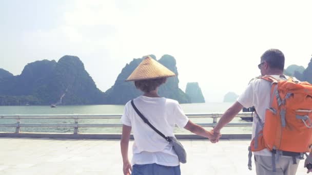 Casal Andando Mãos Dadas Calçadão Halong City Vietnã Com Vista — Vídeo de Stock