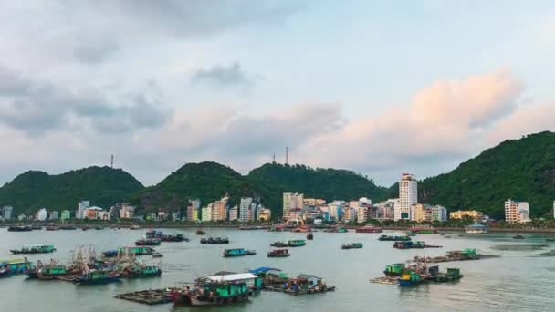 Time Lapse Vietnam Cat Bay Twilight Floating Fishing Boats Sea — Stock video